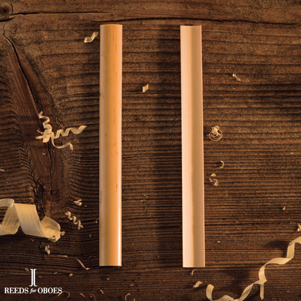 englisch horn gouged cane "medium"