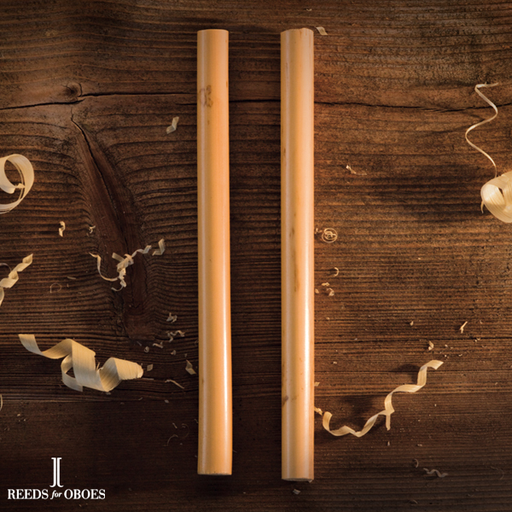 oboe cane 10-10,5 medium hard